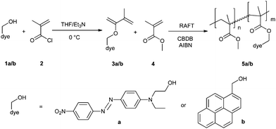 Schematic representation of the synthesis of DR1- and pyrene-functionalized monomers and subsequent reversible addition fragmentation chain transfer (RAFT) copolymerization with MMA (MMA = methyl methacrylate, CBDB = 2-cyano-2-butyl-dithiobenzoate chain-transfer agent; AIBN = azoisobutyronitrile initiator).