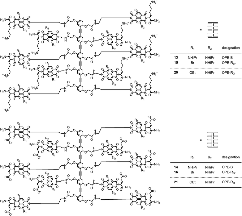 Structure of multicolor OPE-NDI propagators 13–16 (previous)27,42 and 20–21 (this report). OPE-NDIs 15, 16, 20 and 21 are mixtures of 2,6- and 3,7-regioisomers.