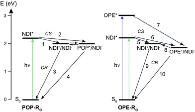 Energy level schemes pertaining to the relevant CS and CR processes in POP-RO18 (left) and OPE-RO20 (right).