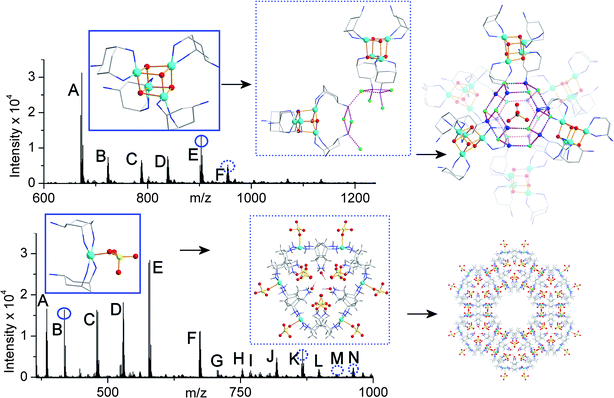 CSI-MS of the reaction solutions of compounds 1 (top) and 2 (bottom) before crystallization with segments of the crystal structures of compounds determined after crystallisation. The peaks labeled with letters have been fully assigned, see the ESI; the species in the blue boxes (top – {Cu4}; bottom {Cu1}) are directly observed in the spectra (round circles) and the species in the dotted blue boxes (top – {Cu8 + Cu1}; bottom {Cu6}) are observed as more complex derivatives (dotted circles). Carbon atoms are shown in light grey, copper in sky blue, nitrogen in dark blue, oxygen in red, fluoride in green, sulfur in yellow. Hydrogen atoms are omitted for clarity.