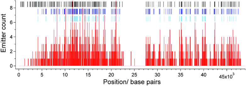 Histogram (red) showing number of localized fluorophores falling into bins of 33 bases in width along the DNA molecule. The positions of the HhaI sites on the DNA are shown (black tick marks) as are the sites where the counts in a bin exceed two (dark blue tick marks) and three (light blue tick marks). These positions are used to produce the consensus fluorocode, shown in Fig. 5B.