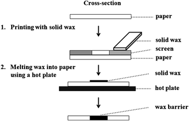 Schematic diagram of the fabrication step for wax screen-printing method.