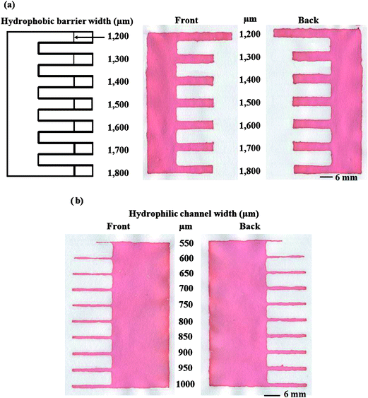Resolution of the wax screen-printing method showing (a) the smallest hydrophobic barrier width and (b) the smallest hydrophilic channel width.