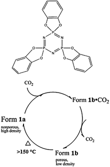 Schematic diagram of TPP (1) and its conversions from nonporous to porous form.