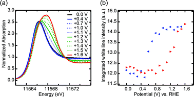 (a) PtL3 edge HERFD XAS of 1 ML Pt/Rh(111) in 0.01 M HClO4 as function of increasing potential, (b) potential hysteresis of platinum oxide formation as seen in the integrated white-line intensity, for increasing (red) and decreasing (blue) potentials. Values were obtained by integrating the HERFD XAS from 11 545 eV to 11 573 eV.
