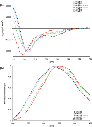 (a) Changes in the far-UV CD spectra of 0.04 mM peptide in 20 mM Phosphate buffer due to increasing concentrations of SDS at 25 °C. Above the cmc all changes are completed. (b) Intrinsic Trp fluorescence of the gp41 peptide in the presence of different concentrations of SDS below (3 mM) and above (6, 9, 12 mM) the cmc.