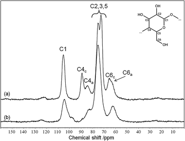 
          13C CP MAS NMR spectrum of (a) Avicel PH-101 and (b) Avicel after 24 h ball milling.46,53 Annotations after ref. 77.