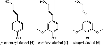 The aromatic monolignol monomers of lignin.