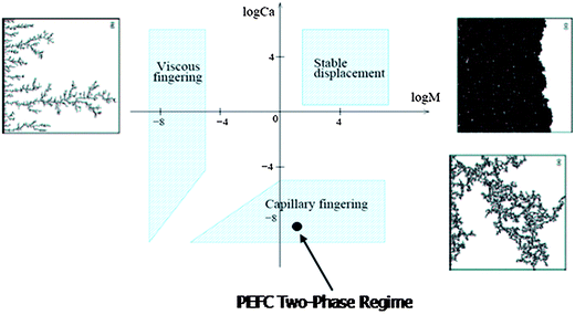 Phase diagram along with fluid displacement patterns.119