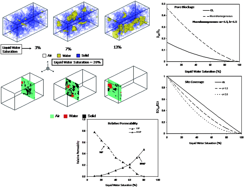 Two-phase distributions, pore blockage, site coverage and relative permeability relations from two-phase LBM simulation in the PEFC CL.139,142