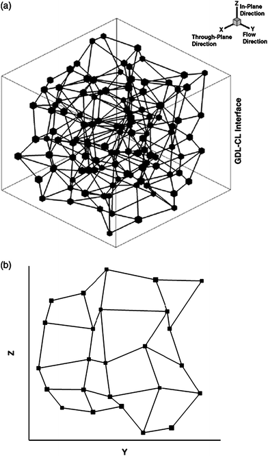 Schematic of pore-network model for a carbon paper GDL: (a) 3-D view; (b) 2-D cross-section showing the connectivity of pores in a plane.165
