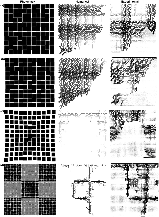 Numerical and experimental random pore network flow patterns at breakthrough: (a) isotropic perturbations, (b) diagonal bias perturbations, (c) radial gradient, and (d) checkerboard pattern with multiple radial gradient patches.168