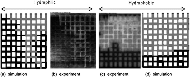 
            Evaporation patterns (gas phase in grey or white, water in black or dark grey, rectangles of random size form the solid matrix) in hydrophilic and hydrophobic networks.171