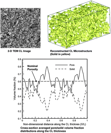 Reconstructed catalyst layer microstructure along with pore and electrolyte phase volume fractions distribution.105