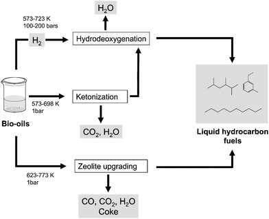 Catalytic routes for the upgrading of biomass-derived oils into liquid hydrocarbon transportation fuels.