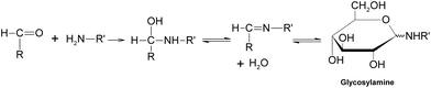 Formation of a Schiff base.