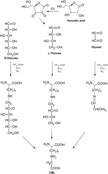 Formation of carboxymethyllysine (CML).