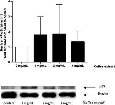 Nuclear translocation of NF-κB induced by coffee extracts in human gut tissue ex vivo. The specimens were stimulated with coffee extract (1–4 mg mL−1) in modified PBS for 2 h. The intensity of the p65 signal (NF-κB subunit) was related to the loading control β-actin and expressed as n-fold increase compared to control. Data are mean ± SD (n = 3–5). Representative Western blot of p65 and β-actin in human gut tissue.
