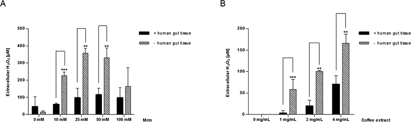 
            Extracellular
            H2O2 concentration after 2 h in human gut tissue samples incubated with (A) MRM (10–100 mM) or (B) coffee extract (1–4 mg mL−1) during mucosa oxygenation ex vivo. Simultaneously, MRM and coffee extract were cultivated under the same conditions as aforementioned but in the absence of the tissue samples and H2O2 concentrations were investigated likewise. Data are mean ± SD (A: n = 3; B: n = 2–5); * p < 0.05, ** p < 0.01, *** p < 0.001.