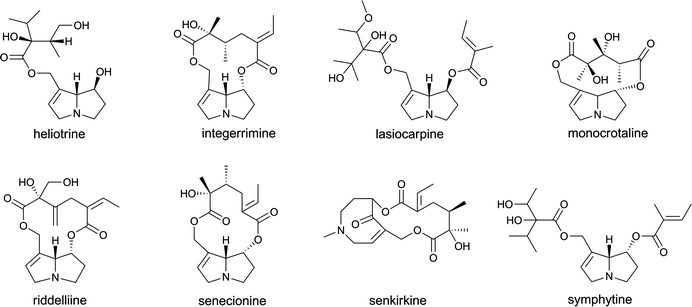 The structural formulae of several pyrrolizidine alkaloids.