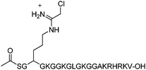 Structure of the PRMT1 inhibitor, C21.