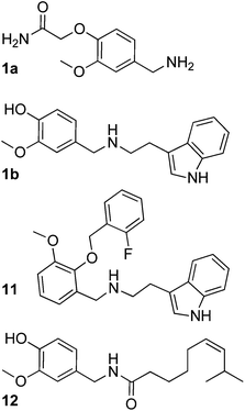 Virtual fragments of hit 1 that were used for similarity searching in the screening compound collection. Among the hits compound 11 was most active in the in vitrotranscription/translation assay. Compound 12 is capsaicin.