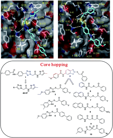 (top) docking pose of compounds 1 and 2 in the FP-2 binding site; (bottom) core hopping of compound 1 and 2 with tetrazole and benzothiazole cores (highlighted in blue), respectively are shown. The tetrazole core of 1 was modified to triazole core to take an advantage of click chemistry. The benzothiazole core of 2 was modified to commercially available benzimidazole and thioacetamide core containing compounds (3–10) with anticipated gain in potency.