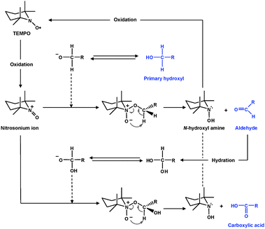 
          TEMPO-mediated oxidation of primary hydroxyls to carboxyl groupsviaaldehydes.32