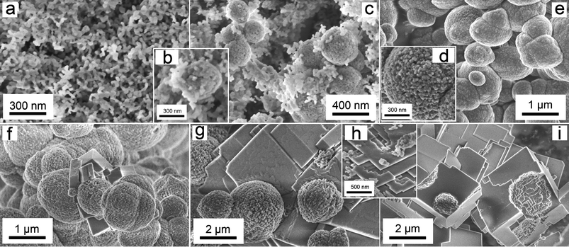 
          FEG-SEM images of the solid phases which form during the two stages of the crystallization experiments. Pictures on the top correspond to Stage 1, showing amorphous calcium carbonate (ACC, a); ACC and vaterite nanoaggregates (b, c); and vaterite nanoaggregates (d, e). Pictures at the bottom correspond to Stage 2: vaterite nanoaggregates and first calcite crystals (f); calcite crystals attached to vaterite spheres with the development of growth steps on the calcite surface (g); calcite growth steps and vaterite nanoparticulate subunits (h) and calcite crystals with vaterite casts (i).