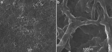 (a) Low and (b) high magnification SEM images of PANI nanofibres thus formed.