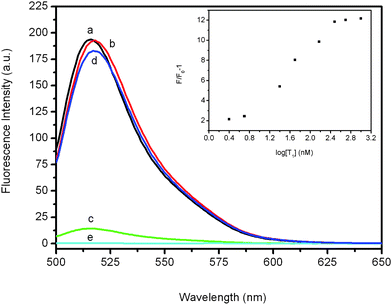 
          Fluorescence emission spectra of PHIV (50 nM) at different conditions: (a) PHIV; (b) PHIV + 300 nM T1; (c) PHIV + PANI; (d) PHIV + PANI + 300 nM T1. Curve e is the emission spectra of the PANI sample. Inset: fluorescence intensity ratio of PHIV–PANI complex with F/F0 − 1 (where F0 and F are the fluorescence intensity without and with the presence of T1, respectively) plotted against logarithm of the T1 concentration. All measurements were performed in Tris-HCl buffer in the presence of 5 mM Mg2+ (pH: 7.4). Excitation was at 480 nm, and the emission was monitored at 517 nm.
