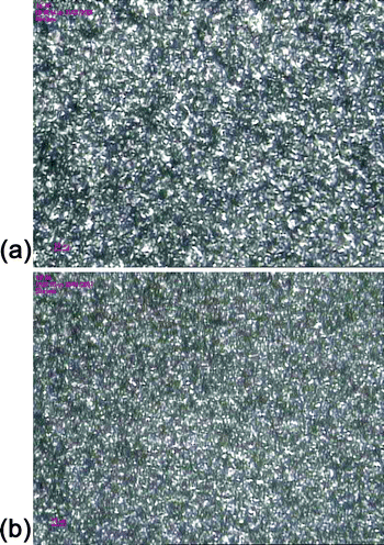 
            PLM
            micrographs of homo-PP modified by 0.4‰ NA-11 (a) pure NA-11 (b) NA-11/ENP compound.