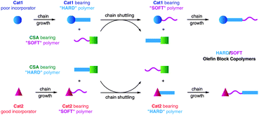 Depiction of the likely chain shuttling mechanism in a single reactor, dual-catalyst approach.