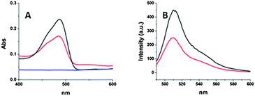 (A) UV-vis absorption spectra GFP-wt (black), GFP1–PNH (red), and GFP-wt–PNH (blue). (B) Emission spectra of GFP-wt (black) and GFP1–PNH (red).