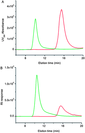 
            SEC traces of tELP-g-Br (red curve) and tELP-g-poly(OEGMA) (green curve). Panel A: UV traces at the absorbance of 280 nm; panel B: RI traces.