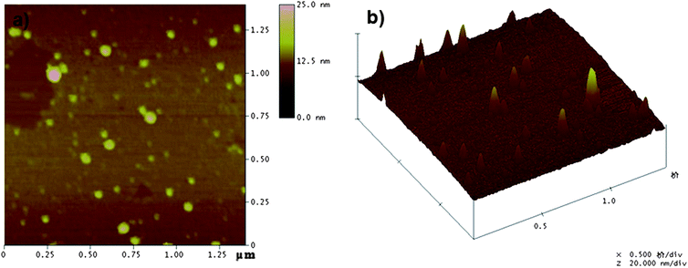 
            AFM images of CLPNs with the molar ratio of EGDMA and PIL of 2 : 1. (a) Top view; (b) 3D image.