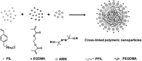 Schematic illustration of the CLPN formation mechanism based on PPIL-co-PEGDMA.