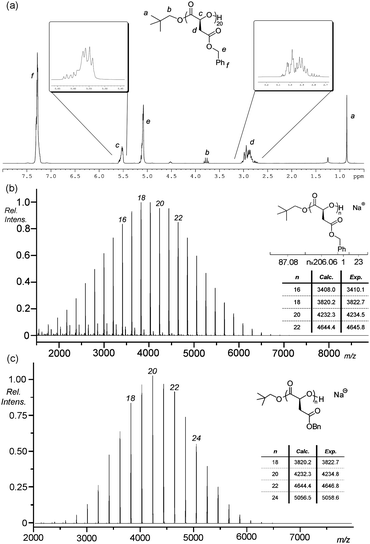 (a) 1H NMR spectrum (400 MHz; CDCl3), (b) crude MALDI-TOF MS and (c) MALDI-TOF MS after column chromatography of a P(l-BMA) ([M]/[I] = 20) (Mn = 3 860 g mol−1, PDI = 1.10) prepared by ROP of l-malOCA ([l-malOCA]0 = 0.32 M) catalyzed with 5 mol% 4-methoxypyridine using neo-pentanol as the initiator.