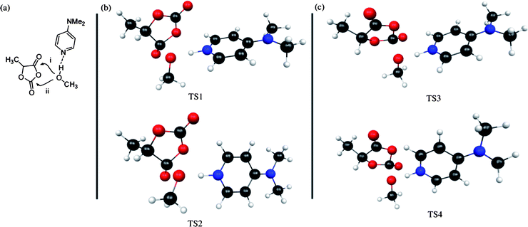 (a) The two pathways (i and ii) for DMAP-catalyzed ring opening of lacOCA with nucleophilic attack of methanol at either of the two carbonyl groups; (b) calculated structures for ester-forming transition states; (c) calculated structures for carbonate-forming transition states. Key: Grey = Carbon; Red = Oxygen; Blue = Nitrogen; White = Hydrogen.