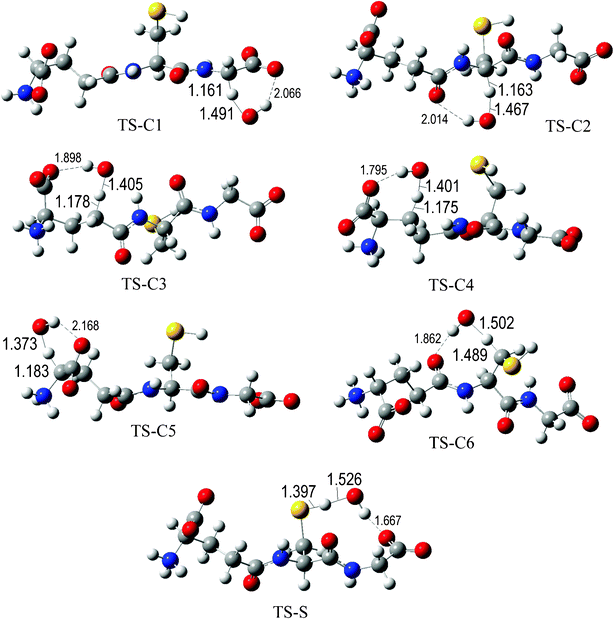 Transition states involved in the GS− + ·OH reaction.