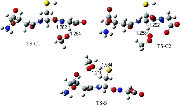 Transition states involved in the GS− + ·OOCH3 reaction.