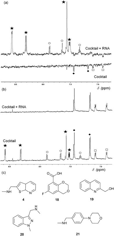 (a) WaterLOGSY NMR spectra of a cocktail of five fragments (0.5 mM each) in the presence (top) and absence (bottom) of 15 μM thiM-RS. The aromatic region of the spectra shows peaks for all fragments, with the exception of 19. Fragments 4 (star) and 20 (circle) show binding while 18 (diamonds) and 21 (square) do not. (b) Representative T2 relaxation edited spectra of a cocktail of five fragments (1 mM each) in the presence (top) and absence (bottom) of 15 μM thiM-RS. Fragments are indicated in the same way as for A. 18 and 21 do not bind while 4 and 20 bind. (c) Structures of the fragments present in the cocktail.