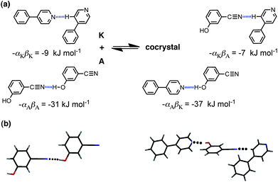 (a) Intermolecular interactions that make the most important contribution to the cocrystal energy for the cocrystal formed between compounds A and K. (b) The predicted H-bond for pure A is observed in the X-ray crystal structure (CCDC reference code ABEGEM), and the two interactions predicted for the cocrystal are observed in the X-ray structure (CCDC reference code KIHXAB).