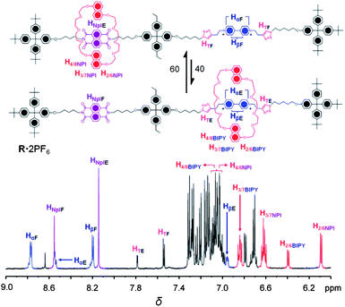 Partial 1H NMR of R·2PF6 and assignment of resonances recorded in CD3CN at 298 K. The subscripts “E” and “F” correspond to encircled and free, respectively.