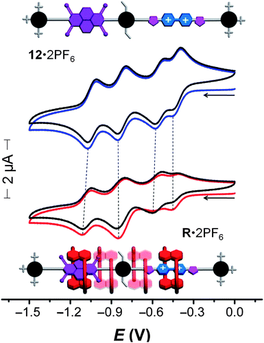 
            Cyclic voltammograms (argon-purged DMF; scan rate = 200 mV s−1) of the dumbbell 12·2PF6 and the [2]rotaxaneR·2PF6. The first and second scans for both compounds are shown. Changes in the relative intensities between the first (red) and second (black) of the first two reduction processes for the rotaxaneR·2PF6 are observed, while no such changes are observed in the dumbbell component.