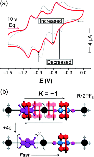 (a) CV of the [2]rotaxaneR·2PF6 recorded after applying a potential of −1.5 V for a 10 s equilibration time before recording the scan to 0 V and back (red), and overlay of the CV of the first scan of the rotaxane recorded starting at 0 V, scanning to −1.5 V and back (dotted line). Relative increases and decreases in the reduction peak intensities between the two different scans are shown (scan rate = 200 mV s−1). (b) Proposed switching mechanism of the [2]rotaxaneR·2PF6 deduced from the CV data.