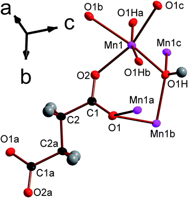 The asymmetric unit of framework 2 with 80% probability ellipsoids. The labels on the hydrogen atoms are omitted for the sake of clarity. Additional non-hydrogen atoms, included to illustrate the coordination sphere of all atoms in the structure and a whole succinate ligand, are shown and labelled alphabetically. In the online version the Mn atoms are pink and all other colours are the same as for Fig. 1.
