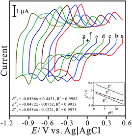 
            Cyclic voltammograms of PNR/FAD/GCE examined in various pH conditions of: (a) pH 1, (b) pH 3, (c) pH 5, (d) pH 7, (e) pH 9, (f) pH 11, and (g) pH 13, respectively, scan rate = 0.1 V s−1. Inset: the plot of formal potential of PNR/FAD/GCE vs. pH (E10′, E20′, and E30′ represent formal potential of three redox couples marked from positive to negative potential).