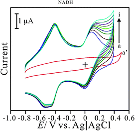 
            Cyclic voltammograms of PNR/FAD/GCE examined in 0.1 M PBS (pH 7) in the presence of [NADH] = (a) 0 M, (b) 1.4 × 10−4 M, (b) 2.8 × 10−4 M, (c) 4.2 × 10−4 M, (d) 5.6 × 10−4 M, (e) 7 × 10−4 M, (f) 8.4 × 10−4 M, (g) 9.8 × 10−4 M, (h) 1.12 × 10−3 M, and (i) 1.26 × 10−3 M, respectively; (a′) is cyclic voltammogram of the bare GCE examined in the maximal concentration in this case, scan rate = 0.1 V s−1.