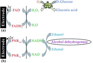 Biosensing system of glucose and alcohol based on the PNR/FAD hybrid composite.